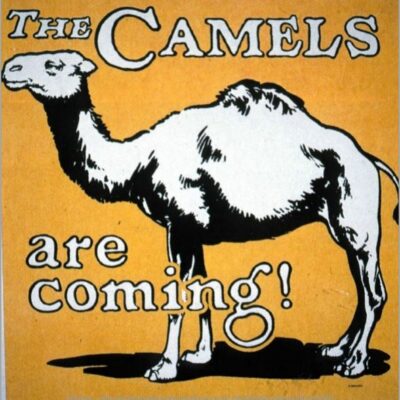 Image for choice number 13