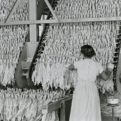 Two women drying tobacco leaf, circa 1961. Courtesy of R.J. Reynolds Tobacco Company