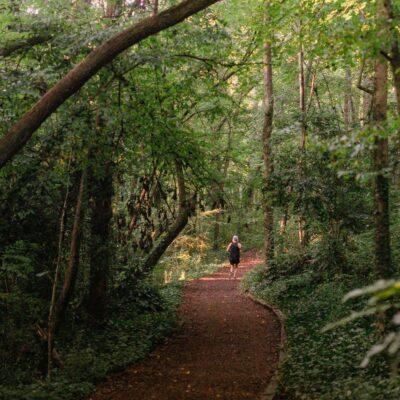 Image for choice number 2