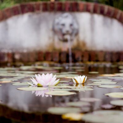 Image for choice number 1