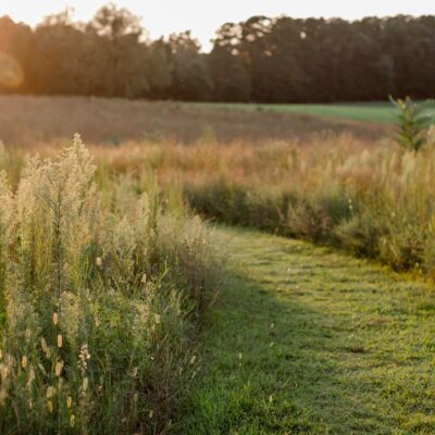 Image for choice number 3