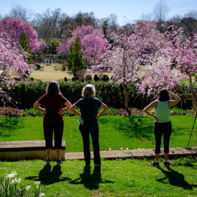 Image for choice number 5