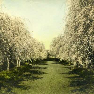 Image for choice number 2