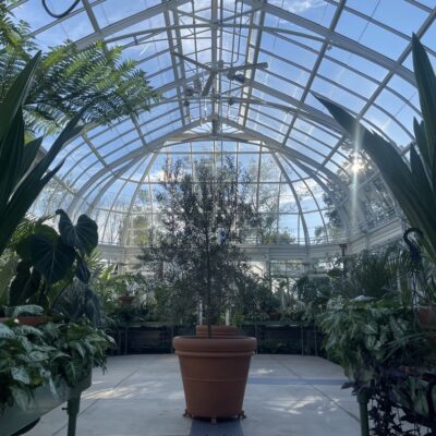 Image for choice number 3