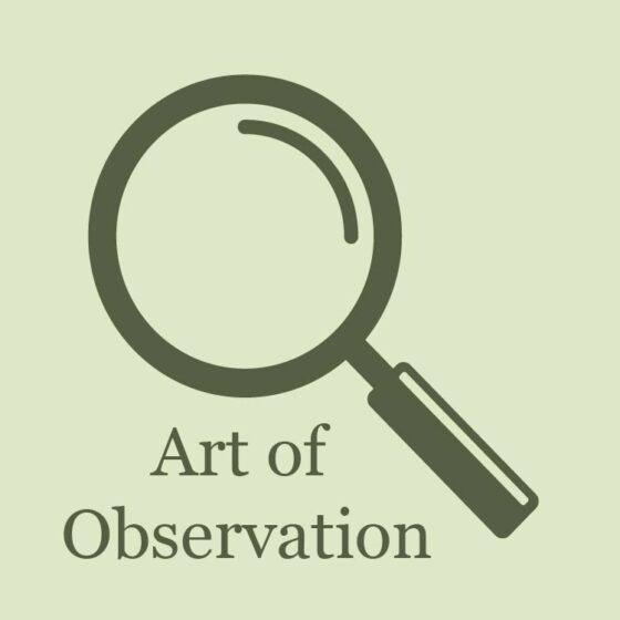 icon of a magnifying glass above the words "art of observation"