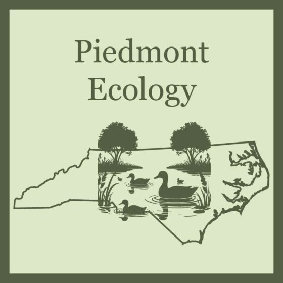 outline of the state of north carolina with a silhouette of a pond scene superimposed on the piedmont area