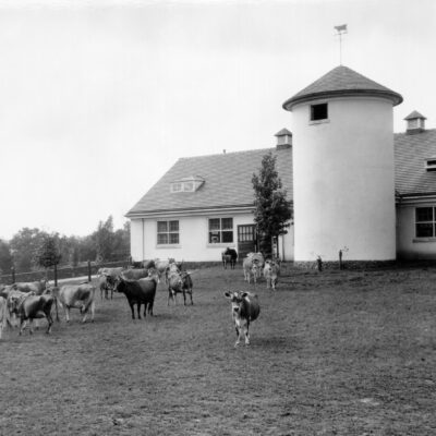 Image for choice number 1