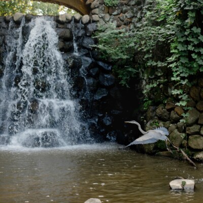 Image for choice number 7